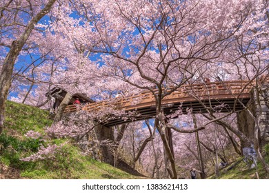 
Sakurakumokyo Takato Castle Cherry Blossom (Sakura), Ina, Nagano Prefecture, Japan