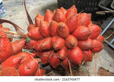 salacca tropical fruit planted in Thailand, zalacca is local traditional Thai fruit