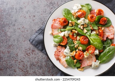 Salad Aveyronnaise is a classic dish of the Aveyron combining three of its principal ingredients bacon, walnuts and Roquefort closeup on the plate on the table. Horizontal top view from above - Shutterstock ID 2254709243