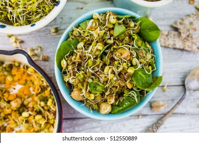 Salad With Fried Sprouts And Fresh Broccoli Sprouts. Healthy Diet And Vegetarian Food. 
