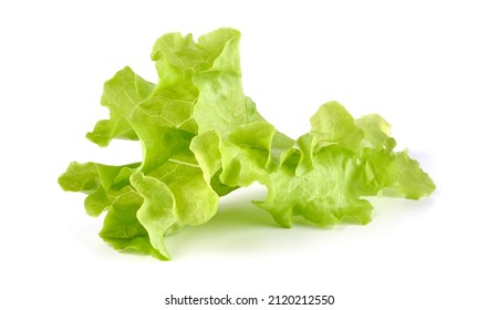 Salad leaf. Lettuce, isolated on white background. High resolution image - Powered by Shutterstock