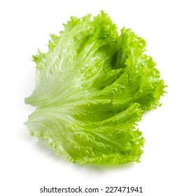 Salad Leaf. Lettuce Isolated On White Background