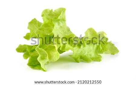 Salad leaf. Lettuce, isolated on white background. High resolution image