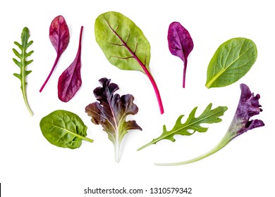 Salad leaves Collection. Isolated Mixed Salad leaves with Spinach, Chard, lettuce, rucola on white background. Flat lay - Powered by Shutterstock