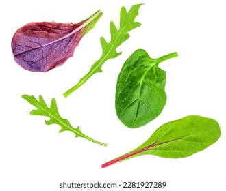 Salad leaves Collection. Isolated Mixed Salad leaves with Spinach, Frisee, Chard, lamb's  lettuce, arugula on white background. Flat lay. Creative layout. Pattern