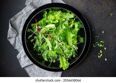 Salad Leaves Mix Fresh Herbs Petals Vitamin Aperitif Fresh Ready To Eat Meal Snack On The Table Copy Space Food Background Rustic Keto Or Paleo Diet Veggie Vegan Or Vegetarian Food No Meat