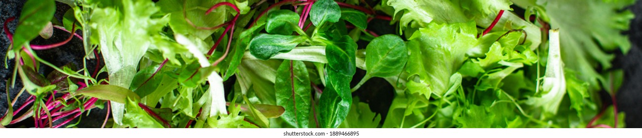 Salad Leaves Mix Micro Green, Juicy Snack Ready Eat On The Table Healthy Meal Outdoor Top View Copy Space For Text Food Background Rustic 