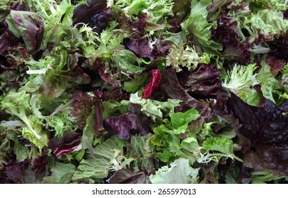 Salad Mesclun