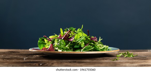 salad mix of fresh herbs, arugula, chard, spinach in tarenle on a wooden background, side view, empty space for text - Powered by Shutterstock