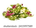 Salad mix with rucola, frisee, radicchio and lamb