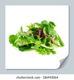 Salad Mix With Rucola, Frisee, Radicchio And Lamb's Lettuce. Isolated On White Background.