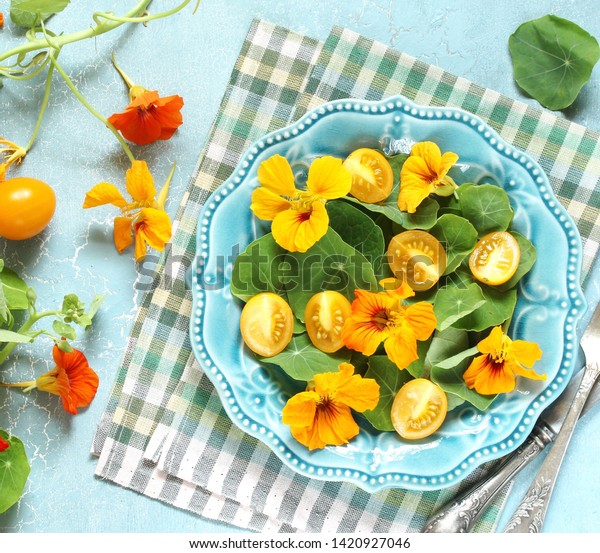 Salad Nasturtium Leaves Flowers Plant Bright Stock Photo Edit Now