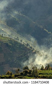 Imagenes Fotos De Stock Y Vectores Sobre Wisata Jawa Tengah