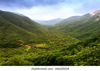 Salalah City In Oman
