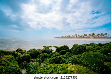 Salalah Oman Beach View In Summer
