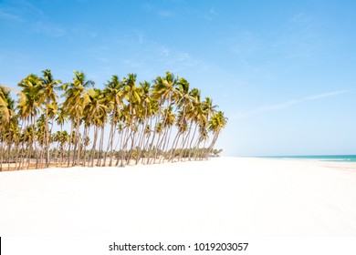 Salalah, Oman City Beach