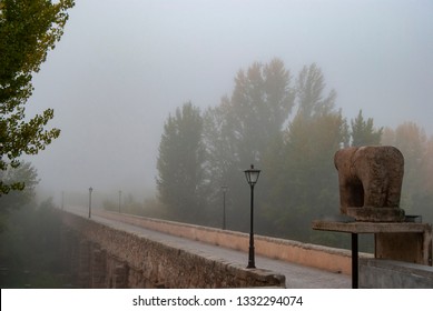 Salamanca Iberian Verraco stone sculpture in Spain a foggy day 