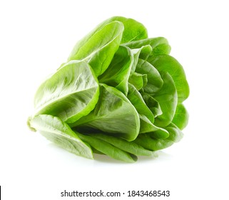 Salanova Lettuce On White Background 