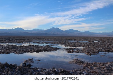 Salar De Atacama, Atacama Desert