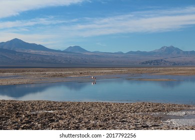 Salar De Atacama, Atacama Desert