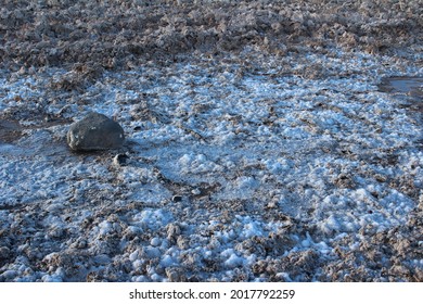 Salar De Atacama, Atacama Desert