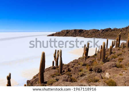 Image, Stock Photo Desert Island