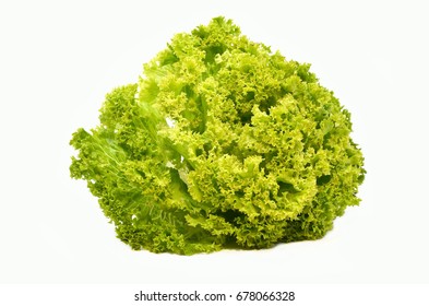 salat in green on a white background