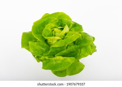 Salat Isolated On White Background