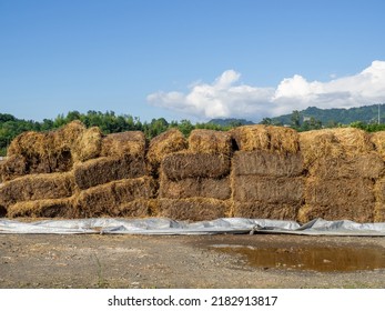 Sale Of Feed For Livestock. Hay Blocks. Lots Of Hay. Horse Feed Warehouse. Farm Animal Care