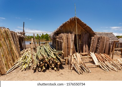 Sale Of Firewood On Street Marketplace In Maroantsetra City, Madagascar. Deforestation Is Big Problem.