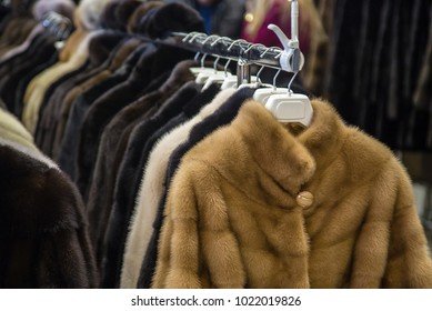 Sale Fur Products Stock Photo 1022019826 | Shutterstock