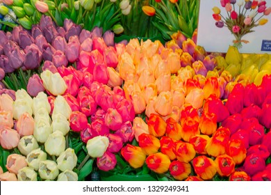Sale Of Tulips In Amsterdam Airport Schiphol