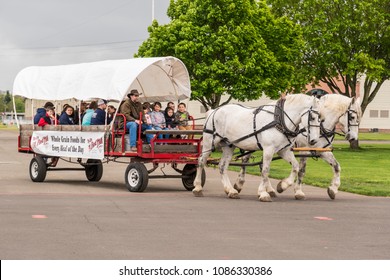 SALEM, OREGON - April 29, 2018: Children Taking Horse Drawn Covered Wagon Ride Pulled By Two White Horses At Salem Agricultural Festival