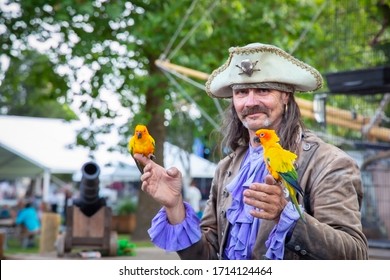 Salem, Oregon / USA - July 12, 2019: Two brightly colored Sun Conure parrots perched on the hands of a person who is dressed as a pirate, an entertainer at the County Fair
