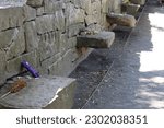 The Salem Witch Trials Memorial with its granite wall and benches displaying the names and execution dates of each victim. Some benches have tributes or notes left on them.