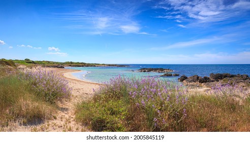 Salento coast: Marina di Salve Beach, almost sandy and embellished with low cliffs, easy to reach in the area of the municipalities of Salve and Ugento in Puglia, Italy. - Shutterstock ID 2005845119