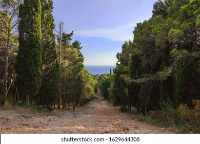 Salento: Footpath Of Porto Selvaggio Bay In Apulia. The Coast Is Rocky And Jagged, With Pine Forests And Mediterranean Scrub (Regional Natural Park Porto Selvaggio And Palude Del Capitano).