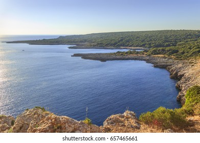 Salento:view Of Porto Selvaggio Bay (Lecce). - ITALY (Apulia) -The Coast Is Rocky And Jagged, With Pine Forests And Mediterranean Scrub (Regional Natural Park Porto Selvaggio And Palude Del Capitano).