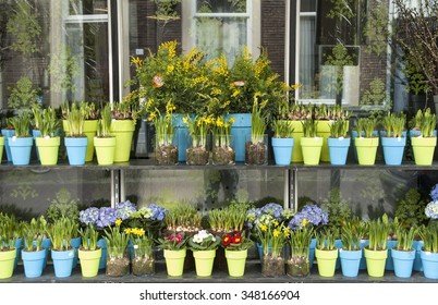 Sales Shelf In Front Of A Flower Shop