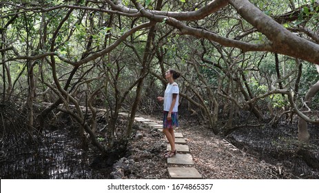 salim ali bird sanctuary