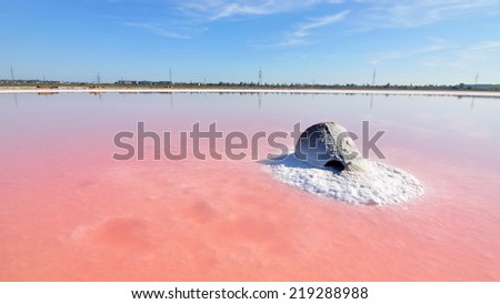 Saline