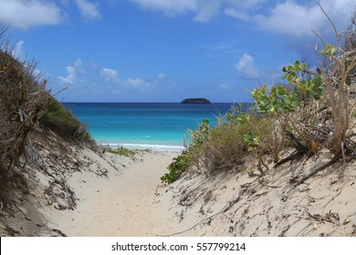 Saline Beach, St. Barts, French West Indies