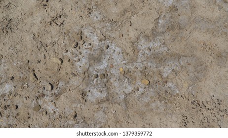 Saline Dried Soil In Iraqi Desert