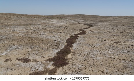 Saline Dried Soil In Iraqi Desert