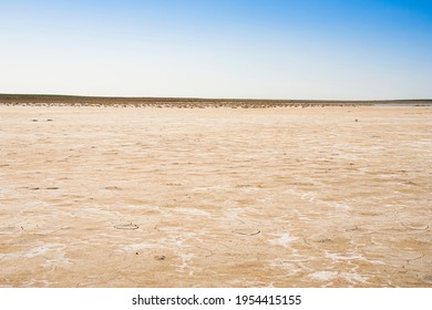 Saline. Salt on the surface of the earth. Dried up sea. Saline soil texture. Drought. Cracks in the soil surface. Desert. Salty soil.  Desert Plants - Shutterstock ID 1954415155