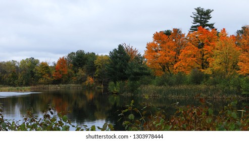 The Salisbury Pond in Worcester, Massachusetts late autumn