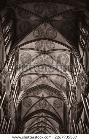 SalisburyUnited Kingdom Gothic style interior decoration, ceiling, columns, nave, vaults of Salisbury Cathedral