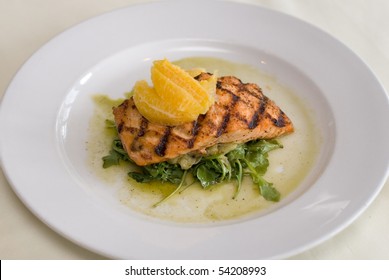 Salmon