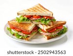 salmon club sandwich with toasted bread on white plate. salmon club sandwich.