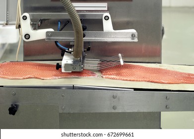 Salmon Factory